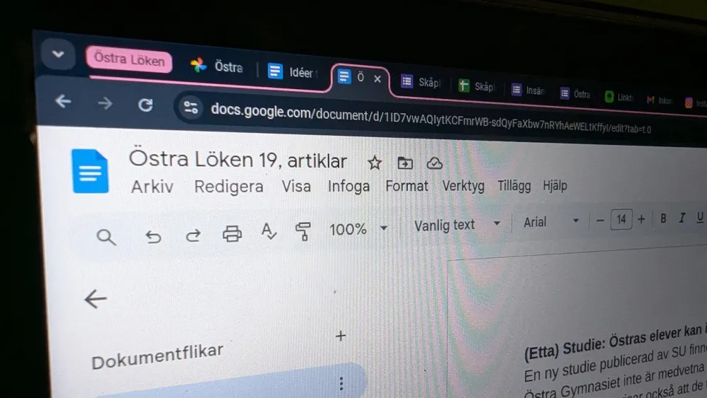 Lökens reporter skriver artikel istället för att plugga för morgondagens matteprov